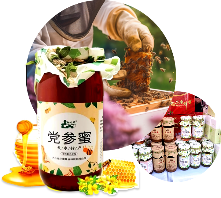 品牌種類(lèi)